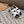 ELECTRIC SANDAL BLACK MIX CREAMY WHITE CALFSKIN