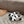 ELECTRIC SANDAL BLACK MIX CREAMY WHITE CALFSKIN
