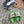 ELECTRIC SANDAL GREEN MIX LIGHT GRAY SUEDE