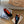 HM Bouncing 35 Sneakers Black Goatskin & Suede Goatskin Orange H Orange