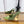 YSL Louis Slingback 10cm Olive Satin Patent Leather 932058