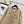 CC Cardigan Jacket Beige Multicolor Sheep Wool Tweed 343317