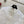 Valentino 26s Floral Ruffle Collar Shirt White Cotton 363576