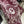 SQUARE SCARF 140 CM IN MAROON RED MIX WHITE MONOGRAM WOOL AND SILK 415110