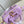 Speedy Bandouliere 18cm Violet Calfskin