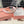 LIGHT PINK HEADBAND ATTACHED SEQUINS TWEED 425521