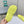 POOL CROCS IN MANZ YELLOW RUBBER