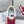 Brunello Panelled Sneakers Ivory Burgundy Grain Leather Suede 625364