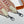 Sangle Canvas 50 mm Bag Strap 255617