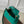 CAPUCINES BB 27 GREEN TAURILLON GOLD HARDWARE
