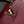 CAPUCINES BB 27 BURGUNDY TAURILLON MOP GOLD HARDWARE
