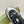GG RIPPLE TRAINER LIGHT SILVER AND BLACK LAMBSKIN
