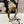 SILK THICK HEADBAND DIJON YELLOW FLOWER PRINT 239959