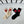 CREW SOCKS 417483 ( 1 BOX )