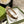 HAIRBAND IN BEIGE AND EBONY CANVAS 432816