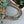 medium dioriviera book tote 36 tiffany blue tiger embroidery canvas