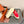 LP Nantucket Walk Sneaker Red Cotton 723198