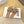 Loewe Petal Anagram Rhinestone Slides Light Brown Leather 723134