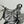 LE CAGOLE SMALL SHOULDER BAG 26 WITH RHINESTONES IN SILVER METALLIC ARENA LAMBSKIN