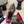 CC 26ss Pump Black Burgundy Lambskin 835699