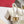 The Bold Edition Vlogo Slingback 65 Deep Mouth Half Drag Heels White Calfskin