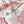 Precious Paradise Scarf 90 CM In Pink Colorful Silk Twill 294485
