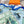 Palonniers scarf 90 CM In Light Turquoise Colorful Silk Twill 321912