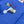 BADGES SOIE MUFFLER 180 CM SCRAF IN COBALT BLUE CASHMERE