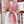 Chevaloscope Scarf 140 CM In Pink Colorful Cashmere And Silk 373660