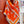 Choregraphie Equestre Pareo Scarf 140 CM Orange Colorful Cashmere And Silk 393170