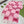 SCARF 220 CM IN BRIGHT PINK MIX WHITE WOOL 401164
