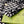 SCARF 220 CM IN BLACK MIX WHITE WOOL 401165