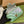 GG MARMONT 16 MINI SHOULDER BAG GREEN IRIDESCENT CALFSKIN
