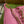 JACKIE NOTTE MINI BAG 19 IN PINK CRACKED LACQUER CALFSKIN GOLD HARDWARE
