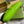 JACKIE SMALL SHOULDER BAG 27 IN LIME GREEN CRACKED LACQUER CALFSKIN GOLD HARDWARE