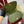 BLONDIE SMALL SHOULDER BAG 26 IN JUNIPER GREEN CALFSKIN AND SUEDE GOLD HARDWARE