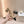 cc slingbacks 55 beige lambskin embroidery grosgrain