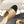 cc 25p mary jane beige lambskin black pattern 237516