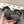 cc 25p dad mule sandal black white tweed 237576