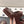 cc 25p logo with pearl mule sandal burgundy leather 237578