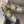 CC 26s Flat Mary Jane Olive Sheepskin 995830