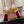 CL Ginko Pump 85mm Pumps Nappa Leather Lilac