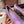 CL Ginko Pump 85mm Pumps Nappa Leather Lilac