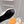 HM Oran slippers sliver buckle white wool