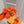 HM Oran slippers sliver buckle orange wool
