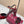 GG Signora Sandals 8.5cm Burgundy Shiny Leather 752218