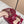GG Sandal With Horsebit 8.5cm Burgundy Shiny Leather 752222
