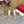 High Heel 70 Mule Sandal The Bold Edition Vlogo Square Toe Rose Cannelle