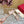 Mule Sandal The Bold Edition Vlogo Square Toe 20mm Rose Cannelle