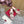 High Heel 70 Sandal The Bold Edition Vlogo Square Toe Rose Cannelle